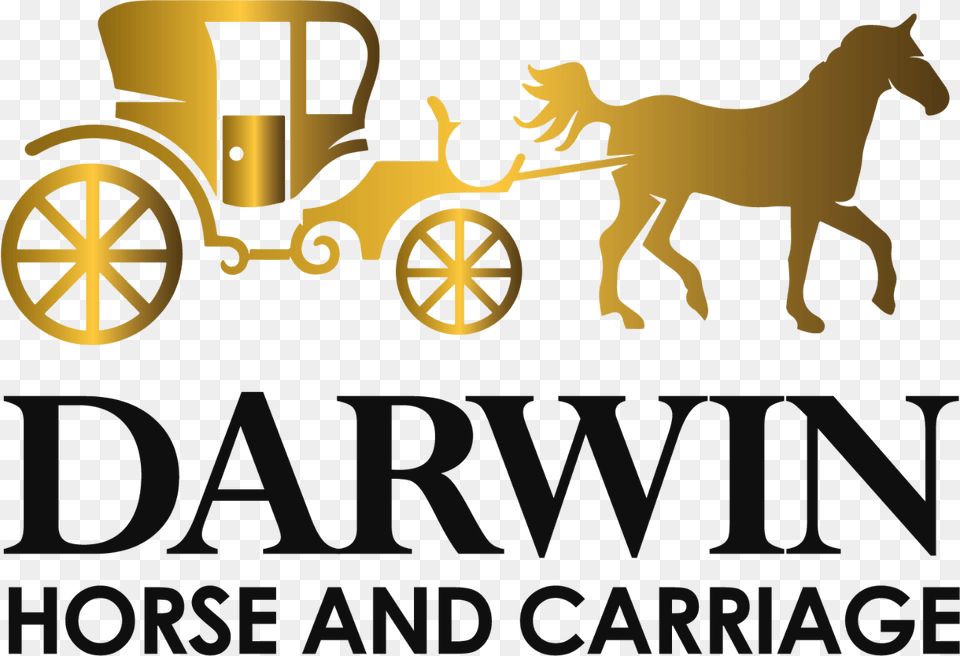 Darling Hair Logo, Carriage, Vehicle, Transportation, Wheel Free Transparent Png