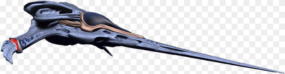 Dart, Animal, Beak, Bird Png