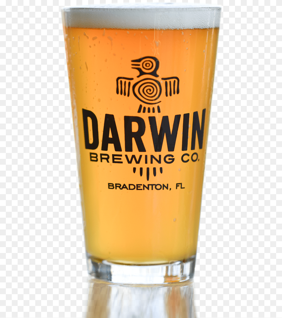 Darwin Brewing Company Willibecher, Alcohol, Beer, Beer Glass, Beverage Free Transparent Png