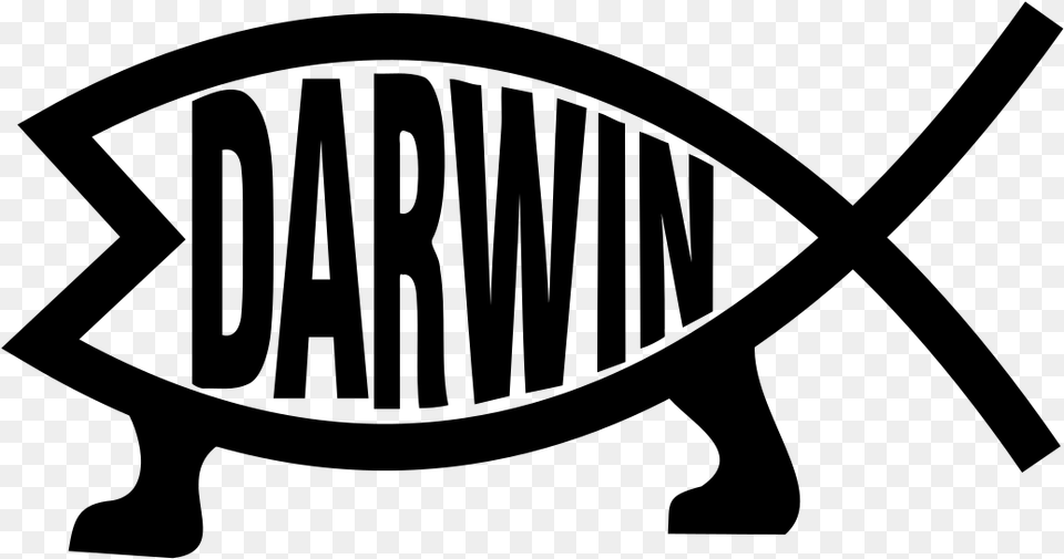 Darwin Evolution Clip Arts Reptile, Gray Free Png