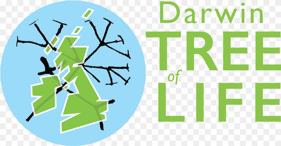 Darwin Tree Of Life Project Darwin Tree Of Life Project, Person, Text, Symbol Free Png