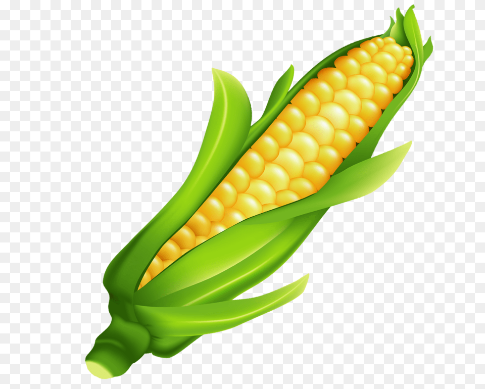 Darzeni Fruit Vegetables, Corn, Food, Grain, Plant Png Image