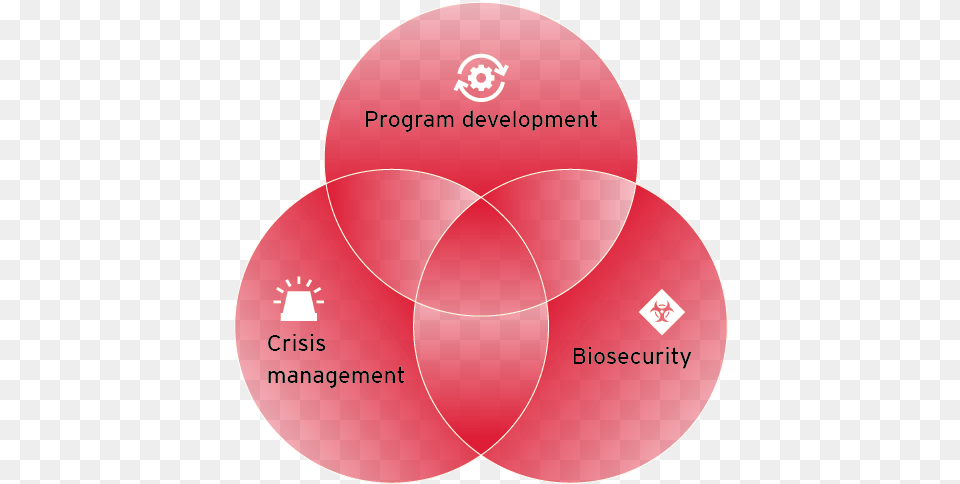 Dash Dot, Diagram, Venn Diagram, Disk Png