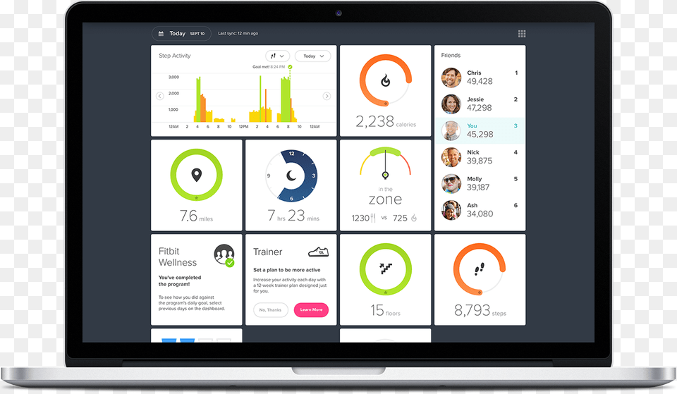 Dashboard 768x447 Fitbit Charge Black Large, Computer, Electronics, Tablet Computer, Person Free Png