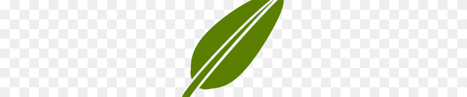 Dat Boi Image, Leaf, Plant, Green, Vegetation Free Transparent Png