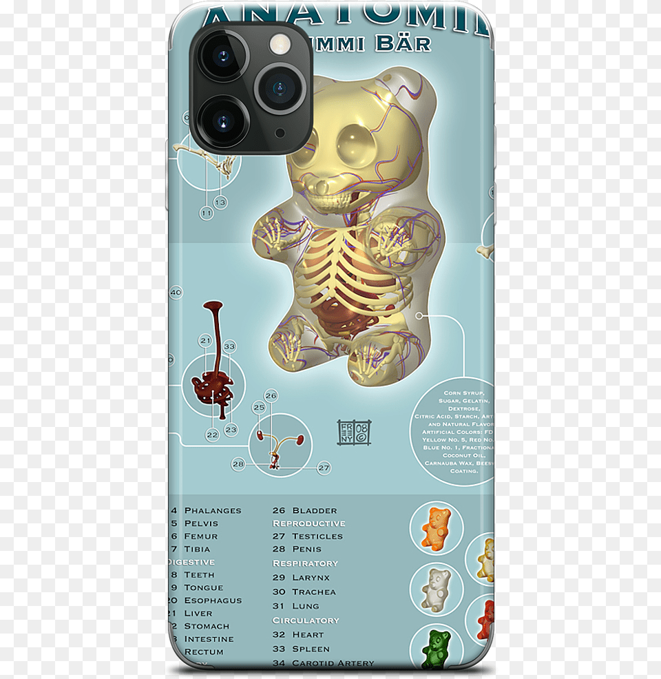 Data Mfp Src Cdn Anatomy Gummy Bear Jason Freeny, Electronics, Speaker, Advertisement, Poster Png Image