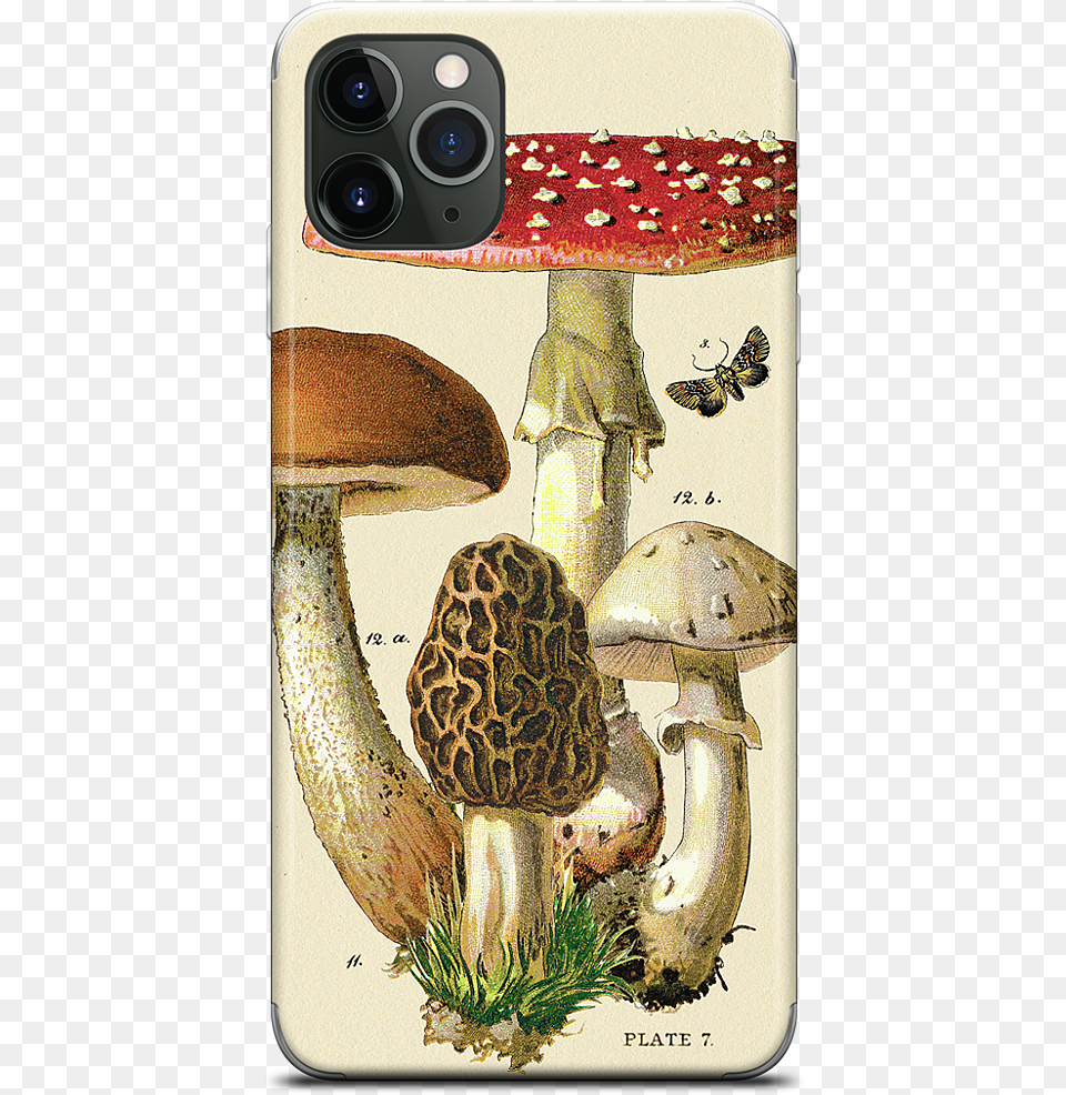 Data Mfp Src Cdn Mobile Phone Case, Fungus, Plant, Electronics, Speaker Free Png