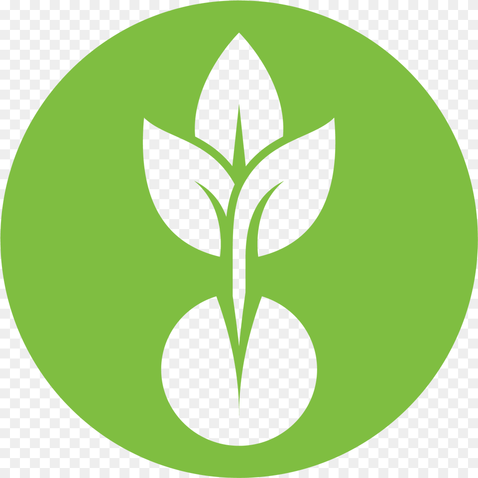 Data Sizes Autodata Src Cdn Emblem, Green, Leaf, Plant, Astronomy Png Image