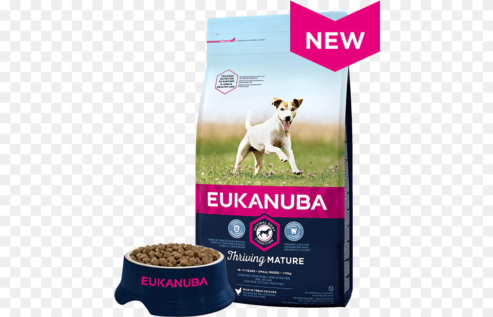 Data Src Https Eukanuba Caring Senior Small Breed, Advertisement, Animal, Canine, Dog Png Image