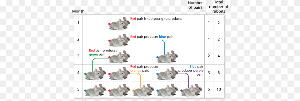 Data Structure, Mineral, Chart, Plot, Animal Png Image