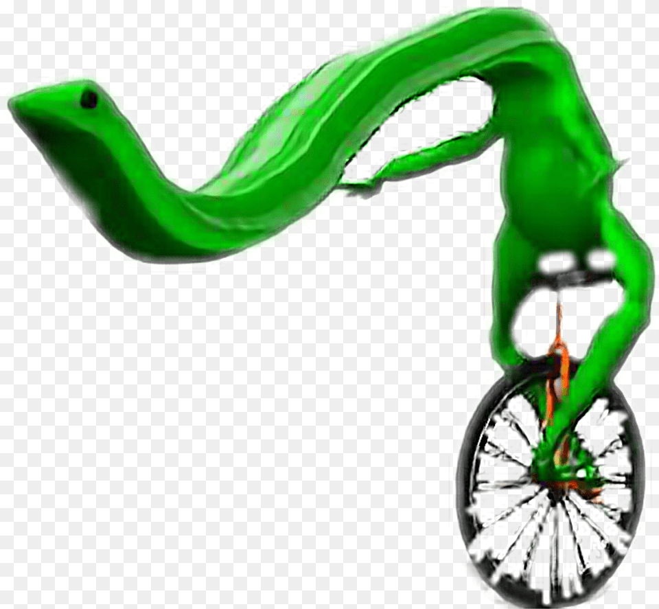 Datboi Meme Memes Dank Deadmeme Frog Unicycle Longfrog Dat Boi Amp Spongegar Memes, Machine, Wheel, Animal, Lizard Free Transparent Png