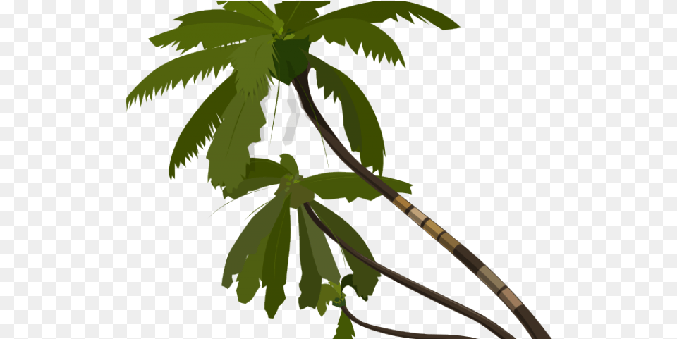 Date Palm Clipart Jungle Animated Palm Tree, Vegetation, Plant, Palm Tree, Leaf Free Png