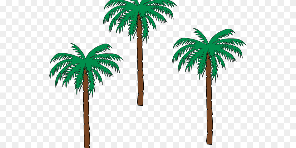 Date Palm Clipart Pom Tree Small Palm Trees Clipart, Plant, Vegetation, Palm Tree, Grove Free Png Download