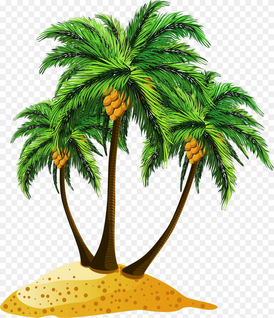 Date Palm Tree Cartoon Free Png