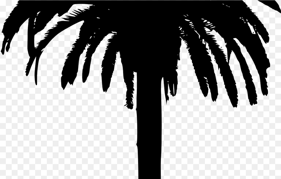 Date Palm Tree Silhouette, Gray Free Png Download