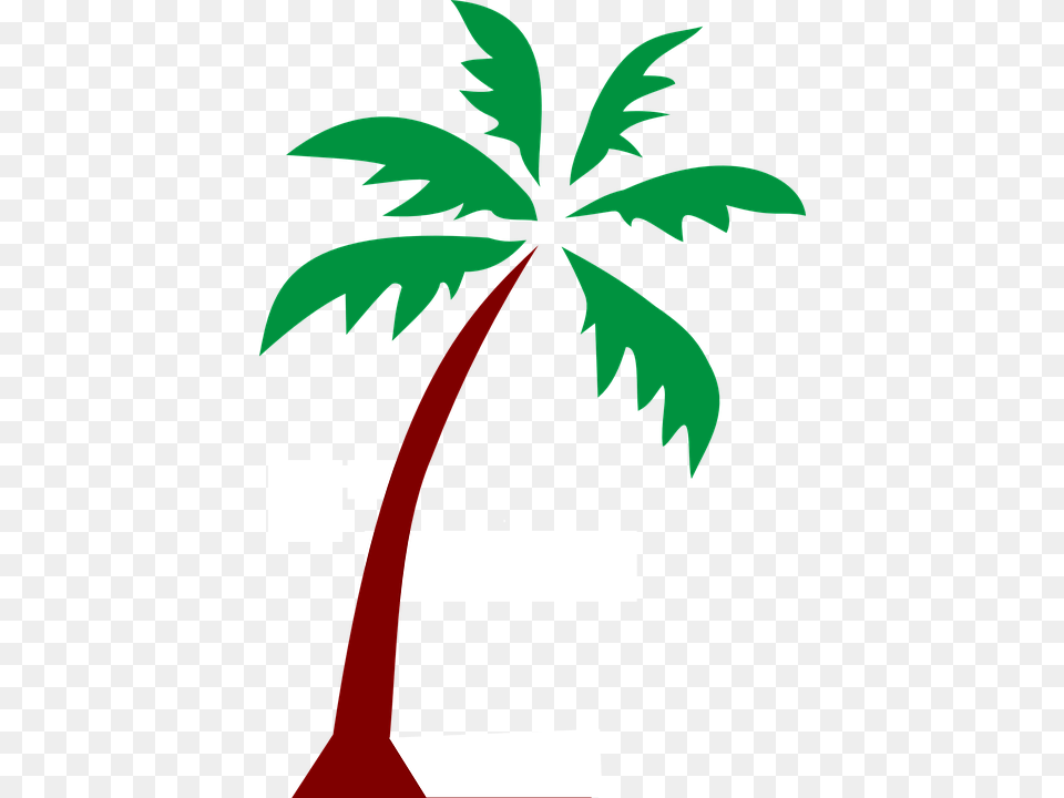 Date Tree Line Art, Leaf, Palm Tree, Plant Free Png