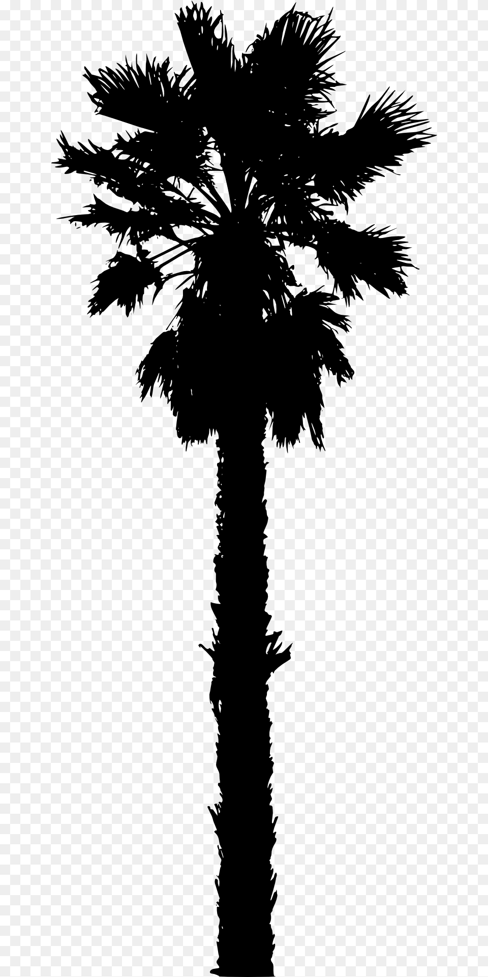 Date Tree Silhouette, Gray Png Image