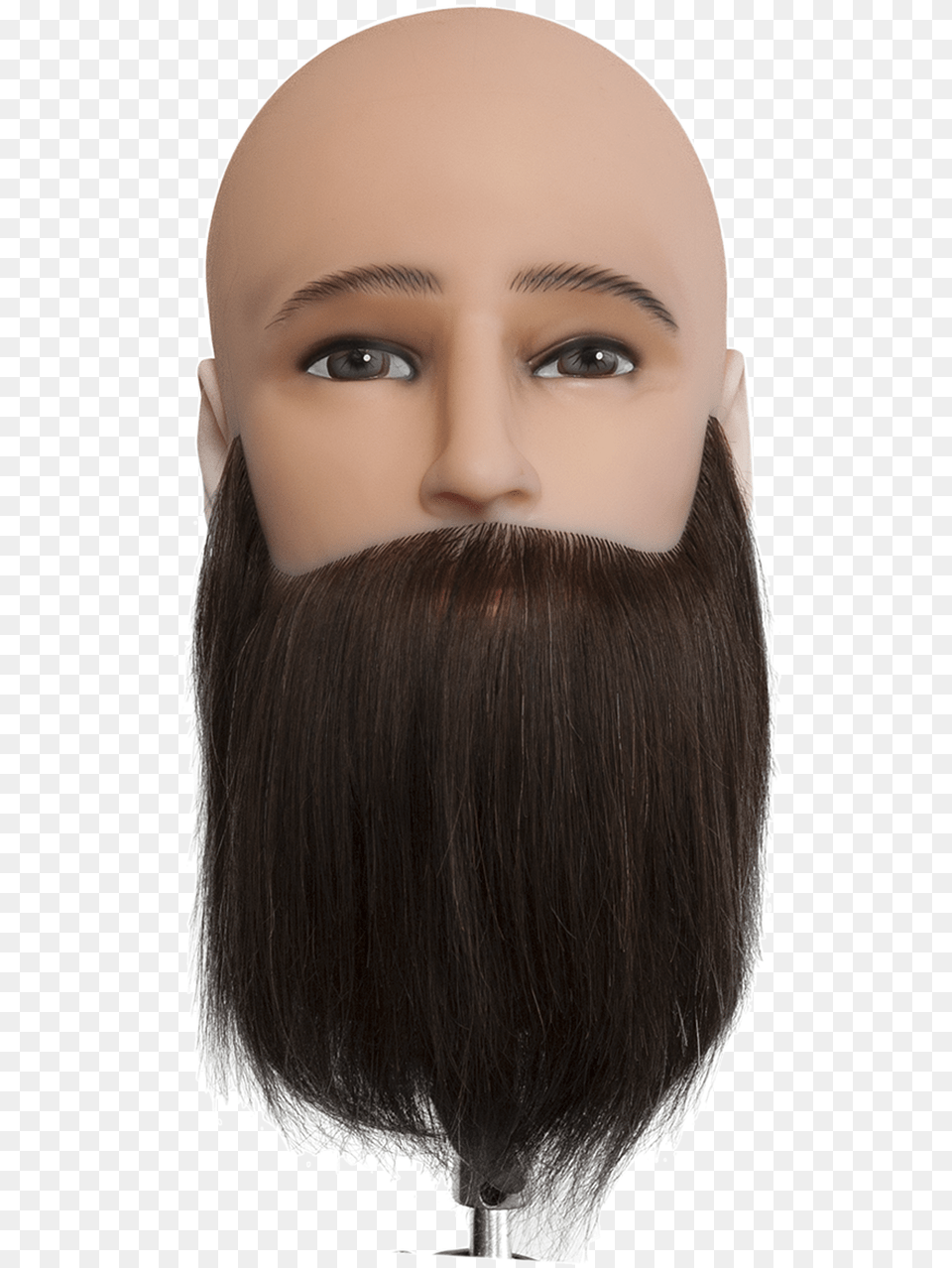 Dateline Professional Mannequin Bald Head Bearded Wig, Beard, Face, Person, Adult Free Transparent Png