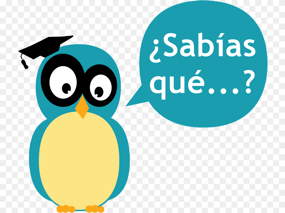 Datos Curiosos De La Tecnologia, Animal, Bird, Jay Free Png