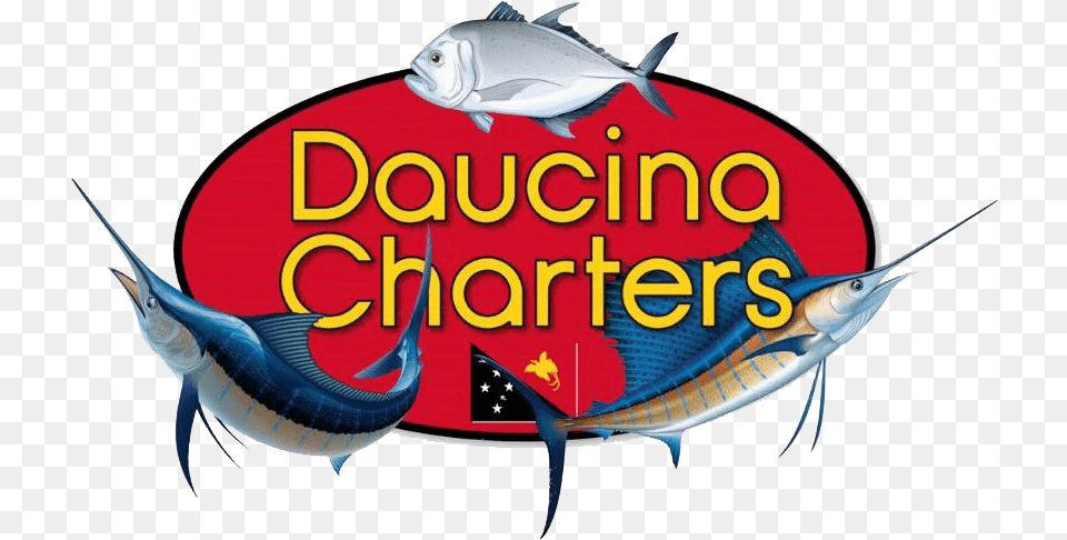 Daucina Charters, Animal, Sea Life, Fish, Shark Png Image