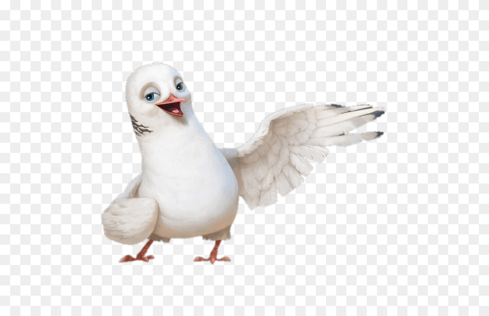 Dave The Dove, Animal, Bird, Pigeon Free Transparent Png