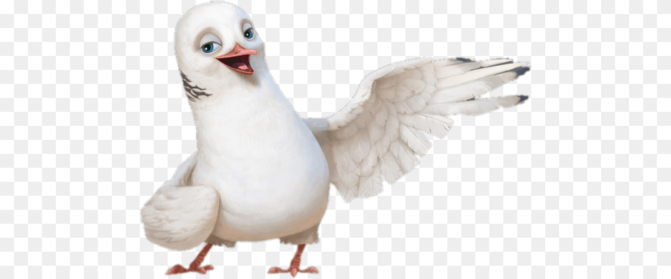 Dave The Dove White Bird Animation, Animal, Pigeon Free Png