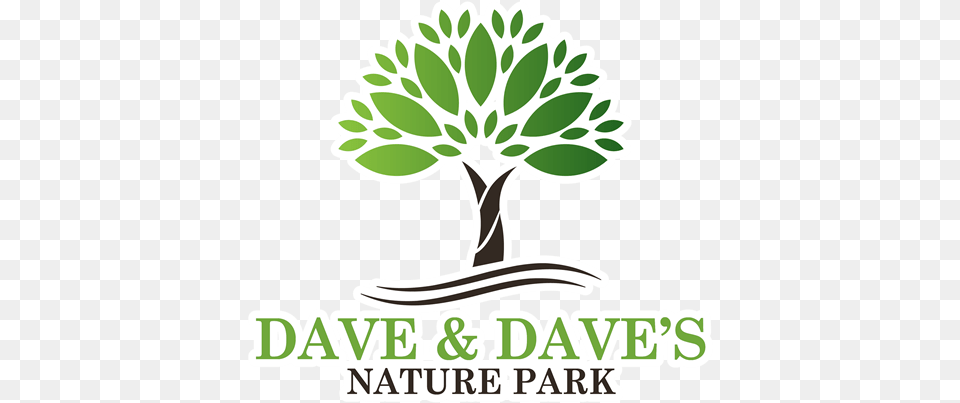 Dave U0026 Daveu0027s Costa Rica Nature Park A Terrific Tree Graphic Purple, Plant, Leaf, Herbs, Herbal Png