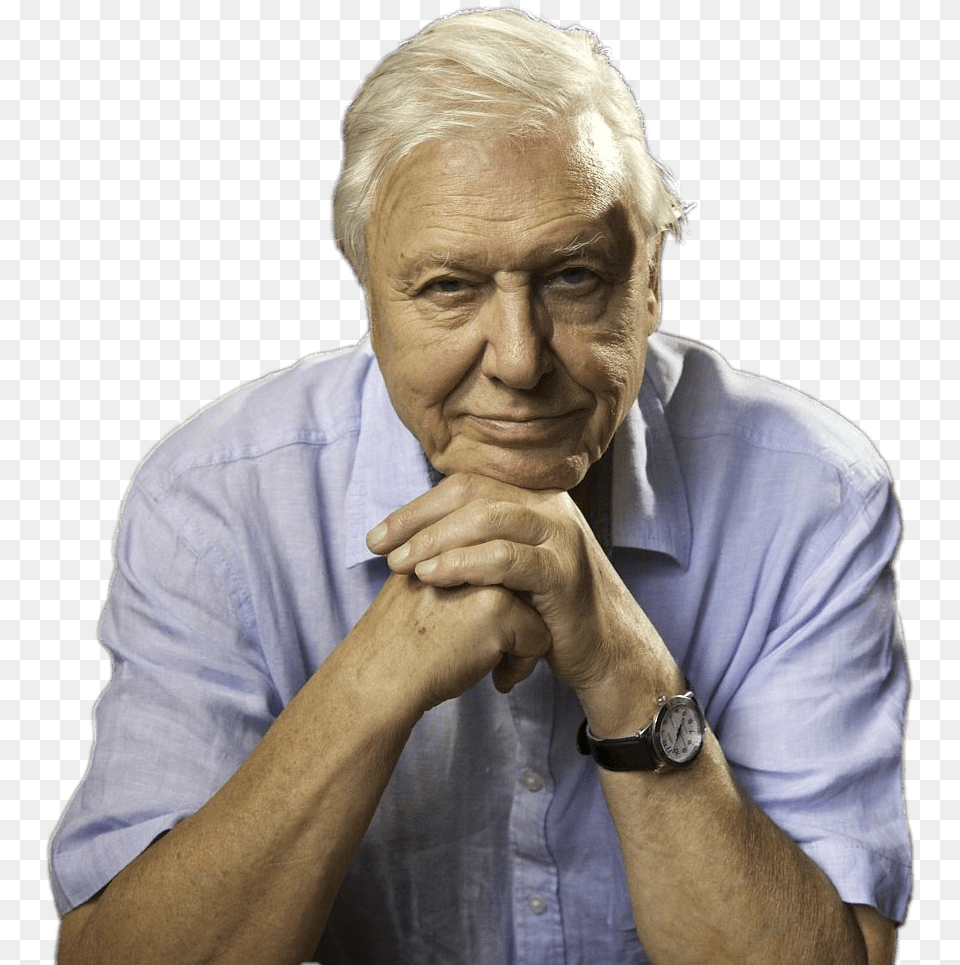 David Attenborough Sitting David Attenborough Bees Quote, Adult, Photography, Person, Man Free Png Download