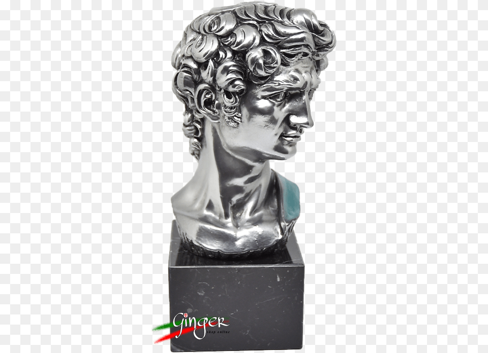 David Di Michelangelo Testa Con Base Marmo David, Figurine, Art, Person Free Png