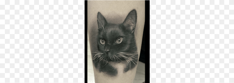 David Vega Realism, Person, Skin, Tattoo, Animal Free Png