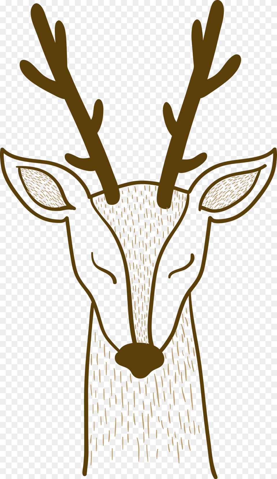 Davids Deer Sika Deer Sika Deer, Animal, Mammal, Wildlife, Antler Png