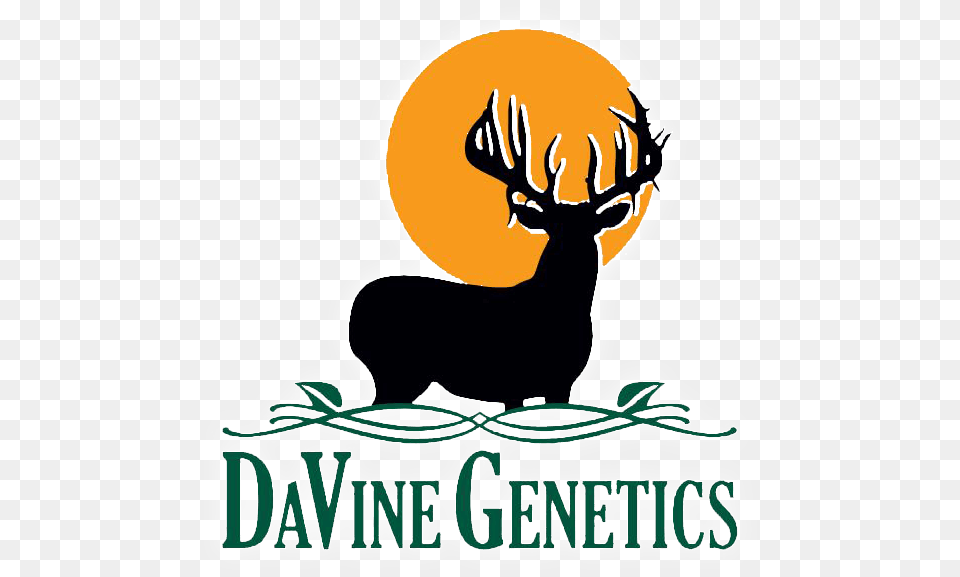 Davine Genetics 2020 Web Logo Elk, Animal, Deer, Mammal, Wildlife Free Png