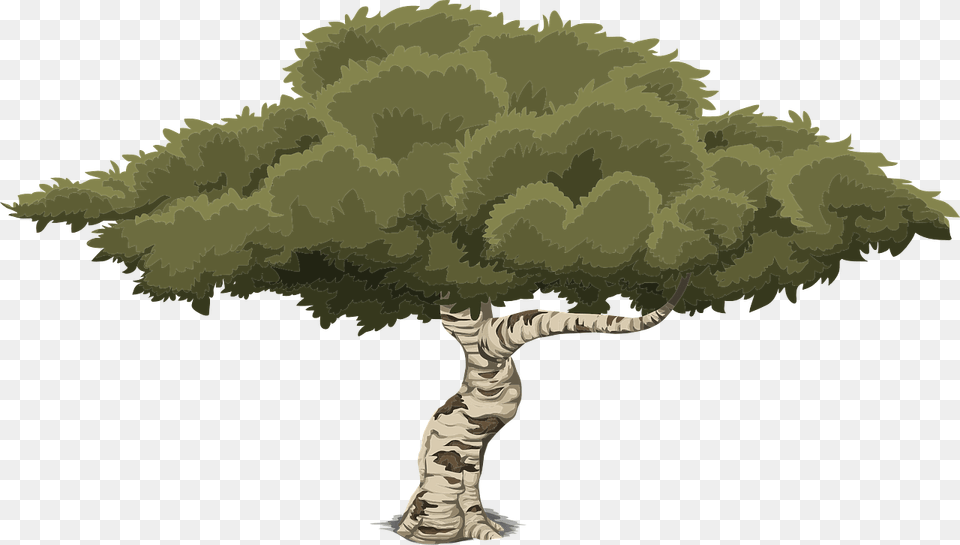 Dawn In The Forest 2d Game Tree, Plant, Baby, Person, Art Png Image
