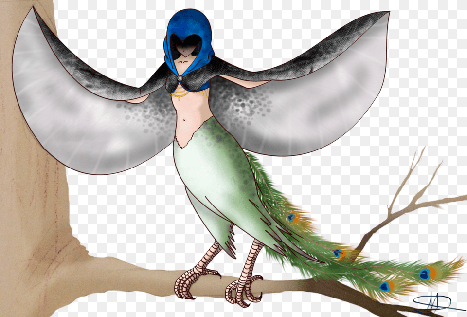 Day 1 Peacock Harpy 30 Day Monster Girl Challenge Swallow, Animal, Bird, Jay, Fish Free Png