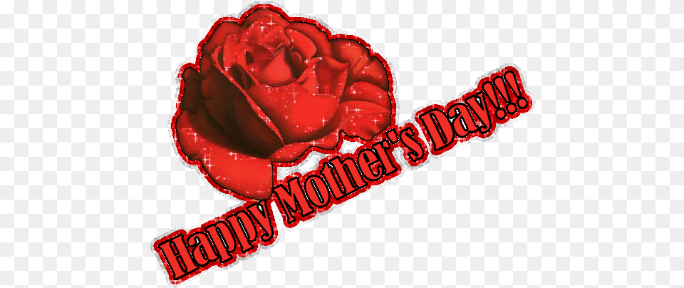 Day 2015 Animation 9to5animationscom Hd Happy Mothers Day, Flower, Plant, Rose, Dynamite Free Png