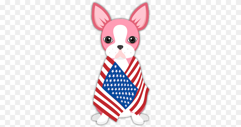 Day Boston Terrier Messages Sticker 9 Boston Terrier, Baby, Person, American Flag, Flag Free Png Download