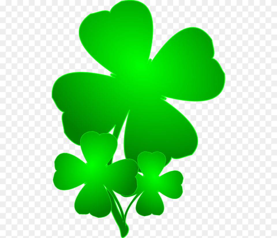 Day Dia De San Patricio Trebol, Flower, Geranium, Green, Leaf Png