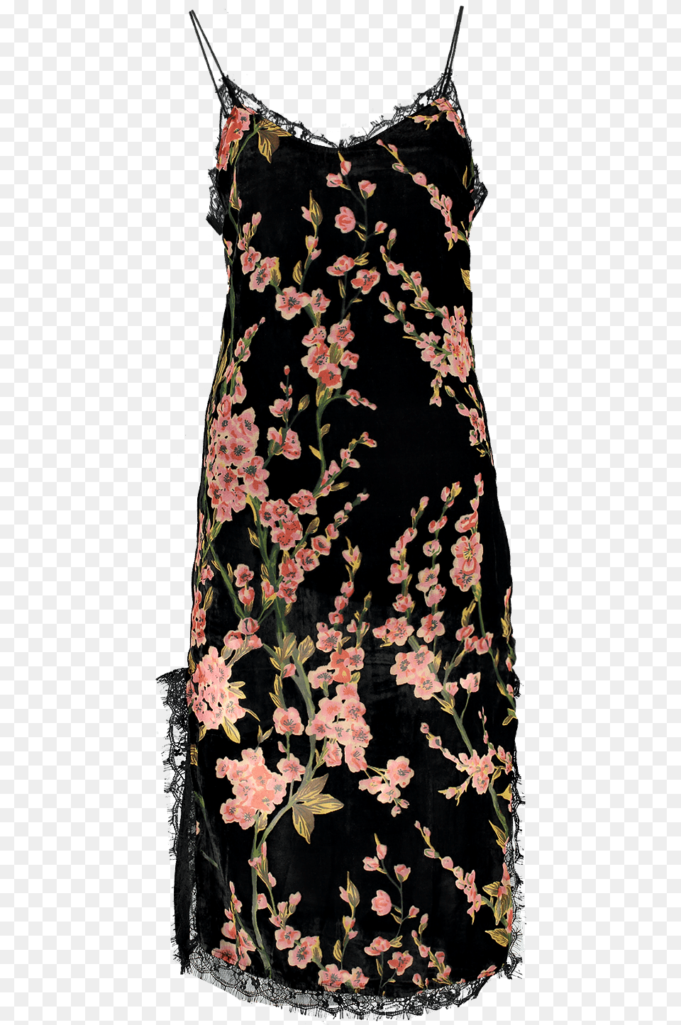 Day Dress, Clothing, Plant, Pattern, Graphics Png Image