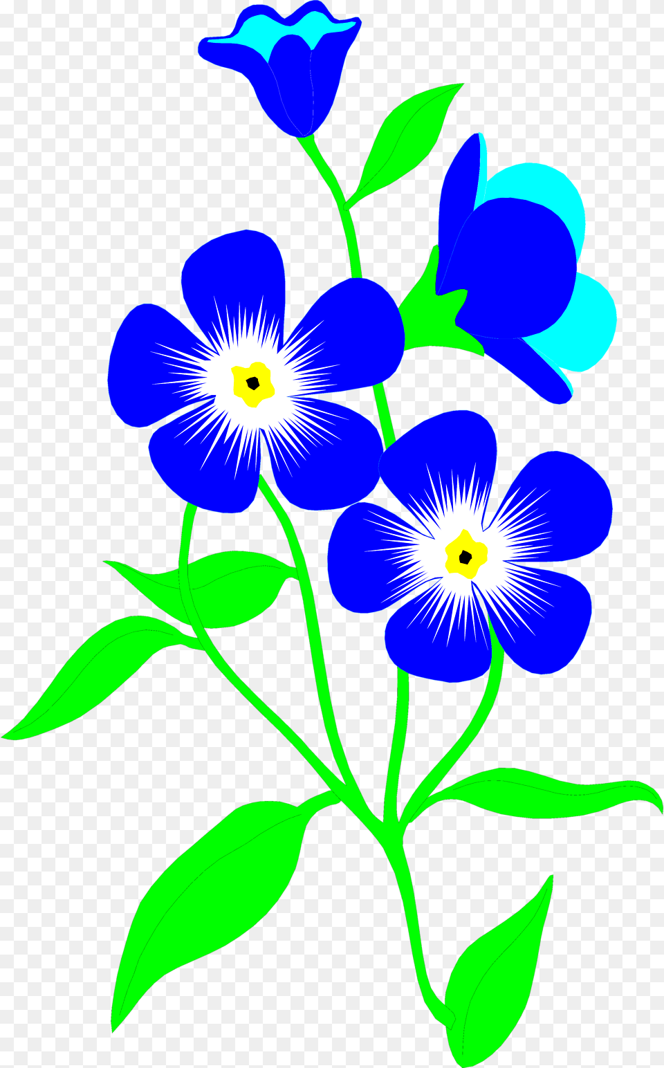 Day Video Message, Anemone, Flax, Flower, Plant Png Image
