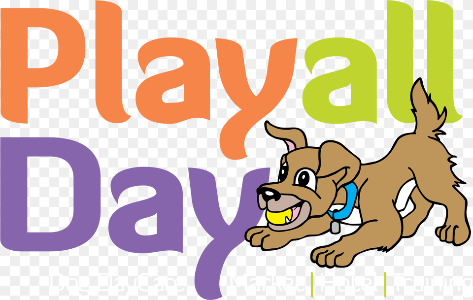 Daycare Play All Dayllc, Baby, Person, Text Free Png Download