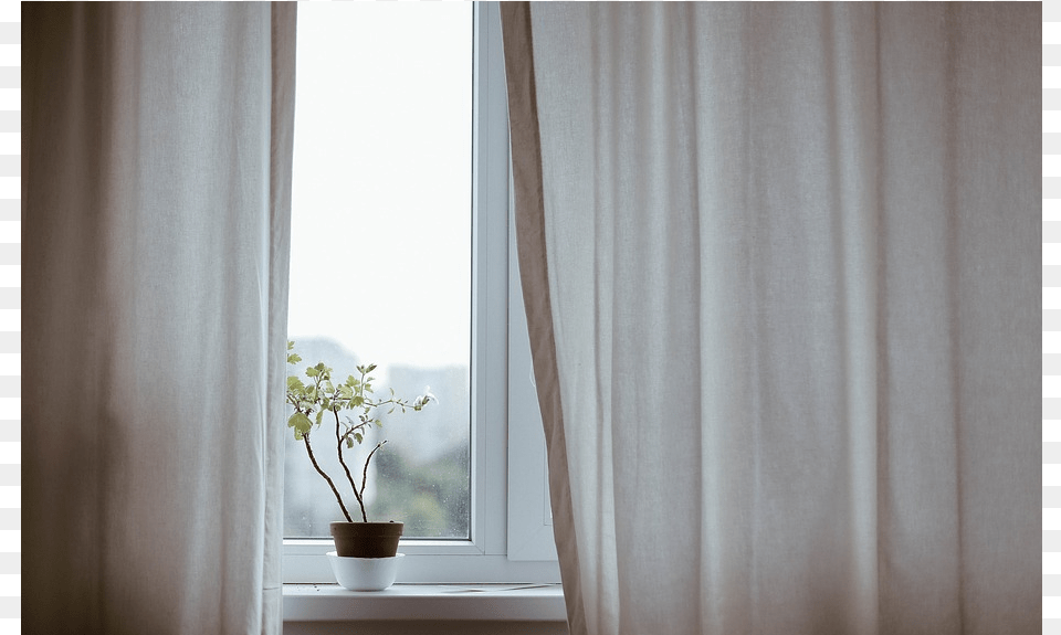 Daylighting, Plant, Window, Windowsill Free Transparent Png