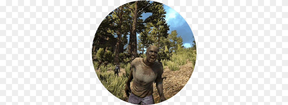 Days To Die Server Hosting Forest Video Game Age Rating, Head, Vegetation, Face, Tree Free Png Download
