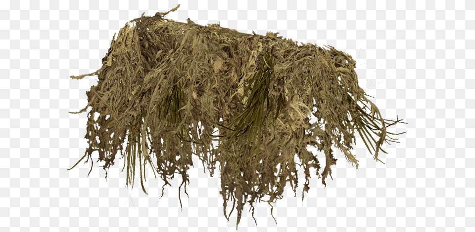 Dayz, Plant, Root, Moss Free Png Download