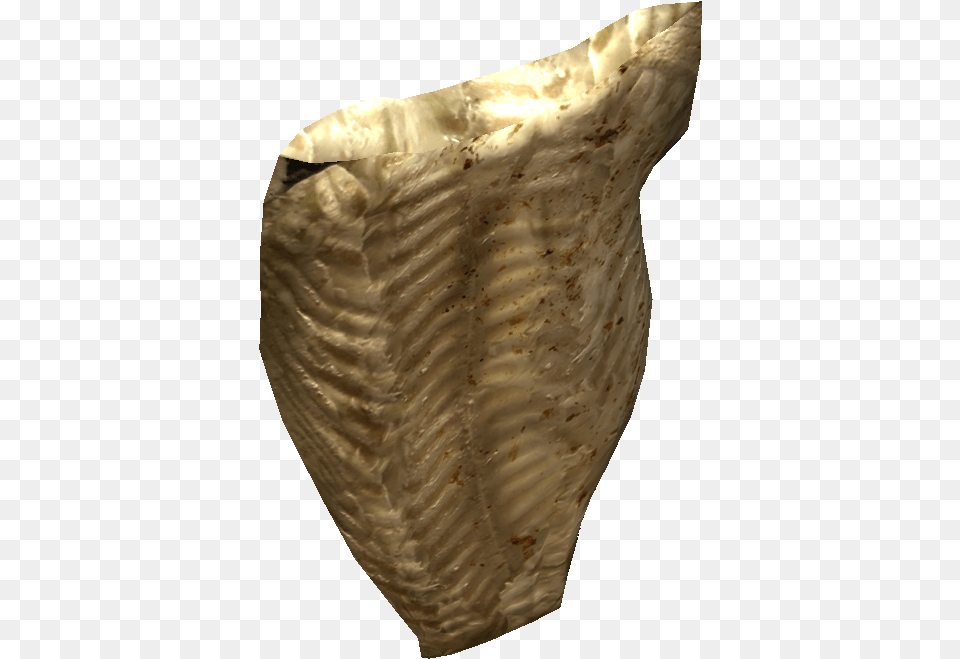 Dayz Wiki Artifact, Animal, Invertebrate, Sea Life, Seashell Free Png Download