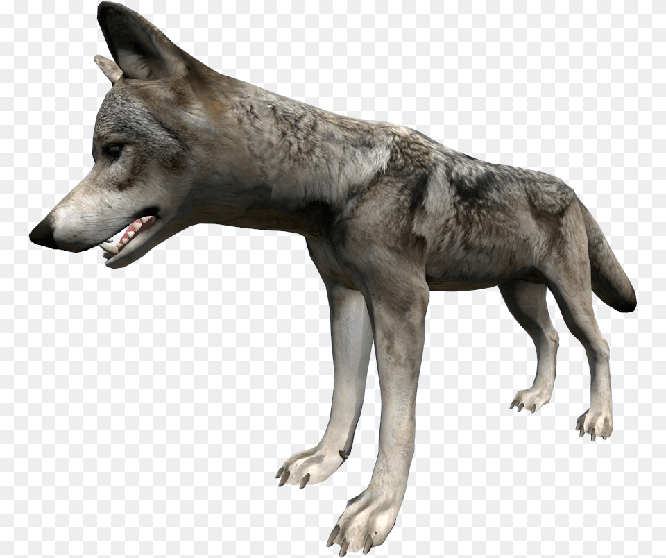 Dayz Wolves, Animal, Canine, Dog, Mammal Png