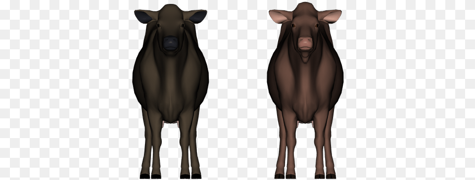 Daz Cow Share And Learn Thread Bull, Adult, Person, Woman, Female Free Transparent Png