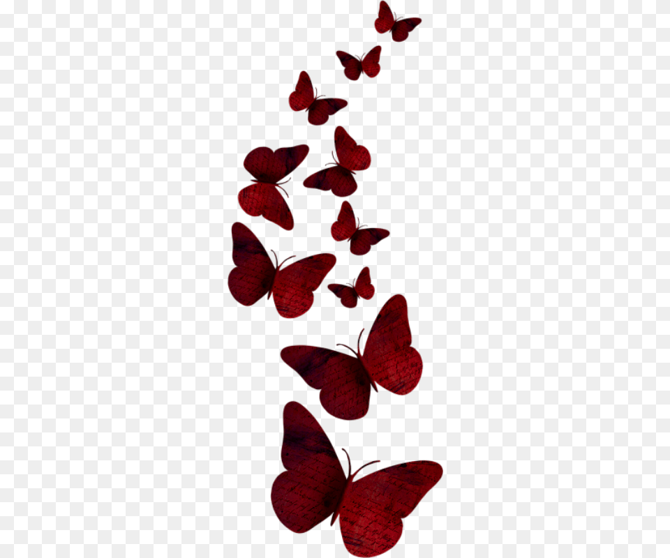 Dbv Betsys Paradise Dream Butterfly Imagenes De Mariposas Rojas, Flower, Petal, Plant Free Png