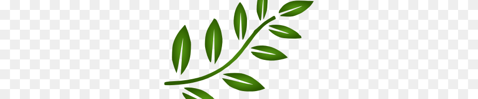 Dbz Aura, Leaf, Plant, Green, Herbal Png Image