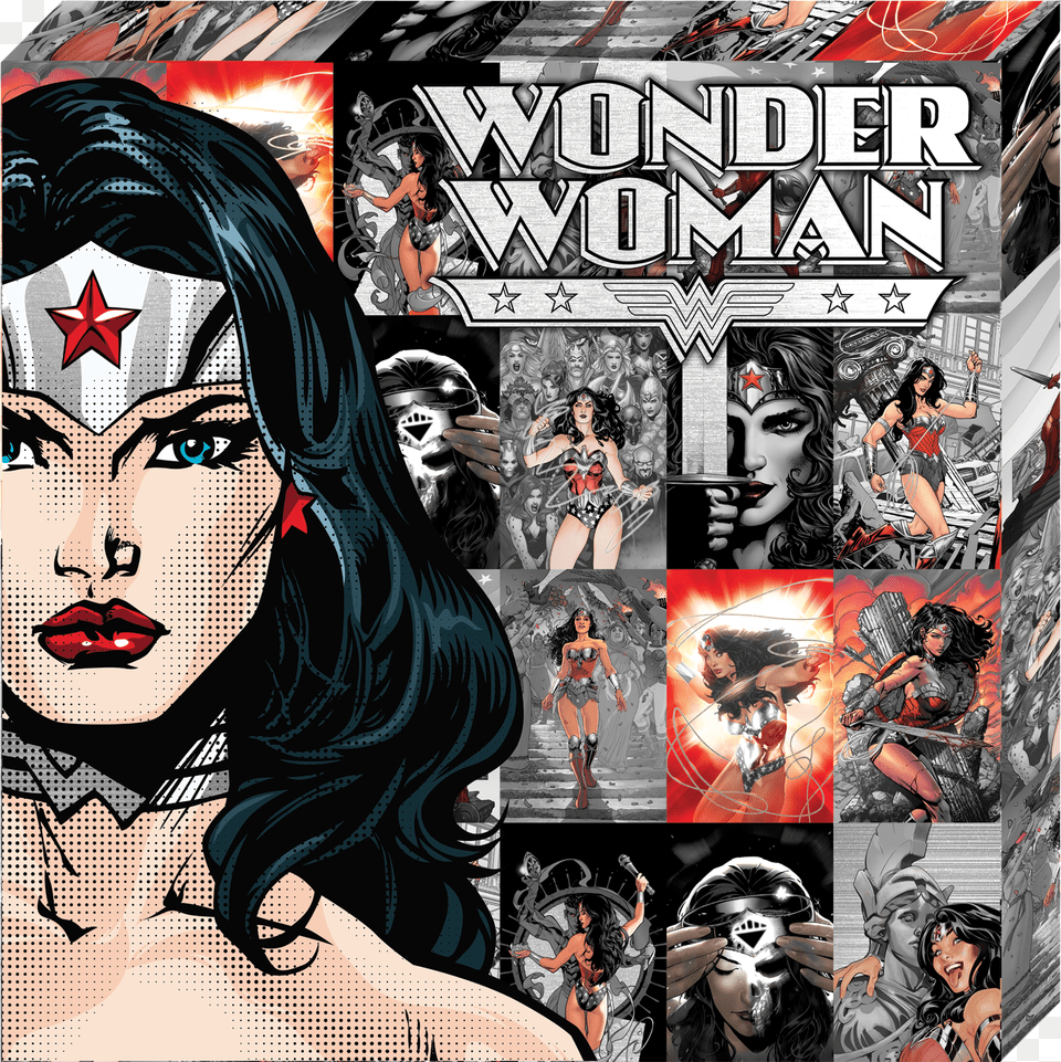 Dc Comics Metallic Canvas Wonder Woman Wonder Woman Wall Art Comics, Adult, Book, Female, Person Png