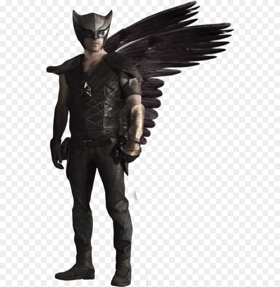 Dc Legends Hawkman, Adult, Male, Man, Person Png